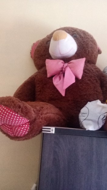 Boneka Beruang ? Besar