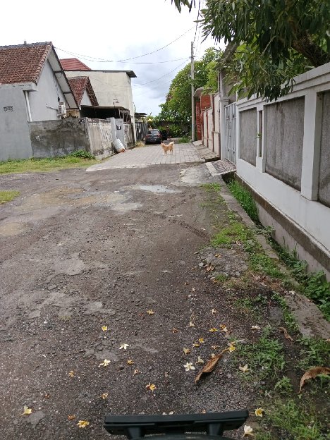 RENON/ tanah luas 150 m2 di jalan tukad Badung panjer Denpasar 