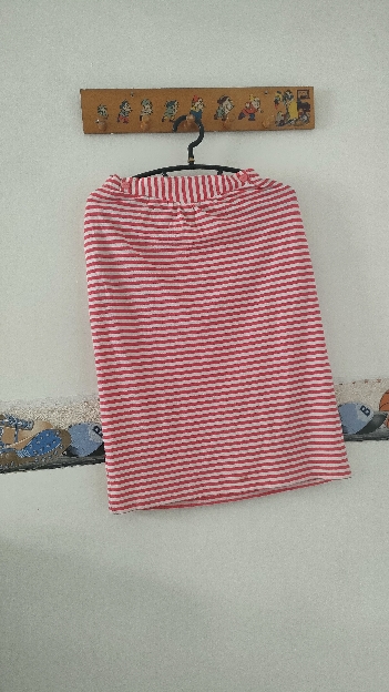 ROK GARIS