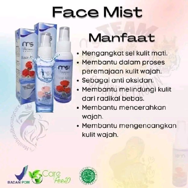 Face Mist Msi