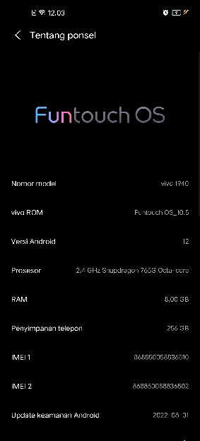 VIVO X50pro RAM 8/256G
