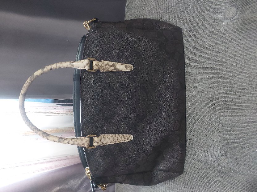 tas coach ori