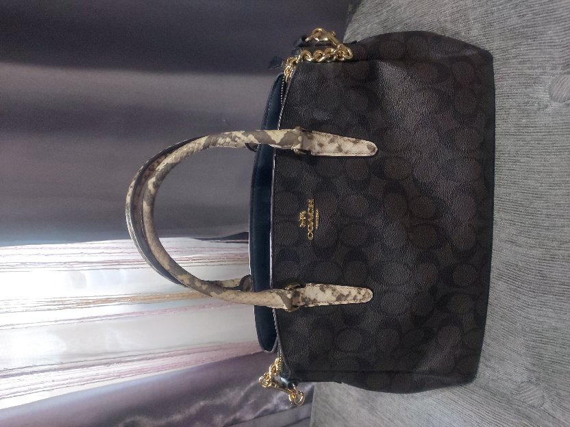 tas coach ori