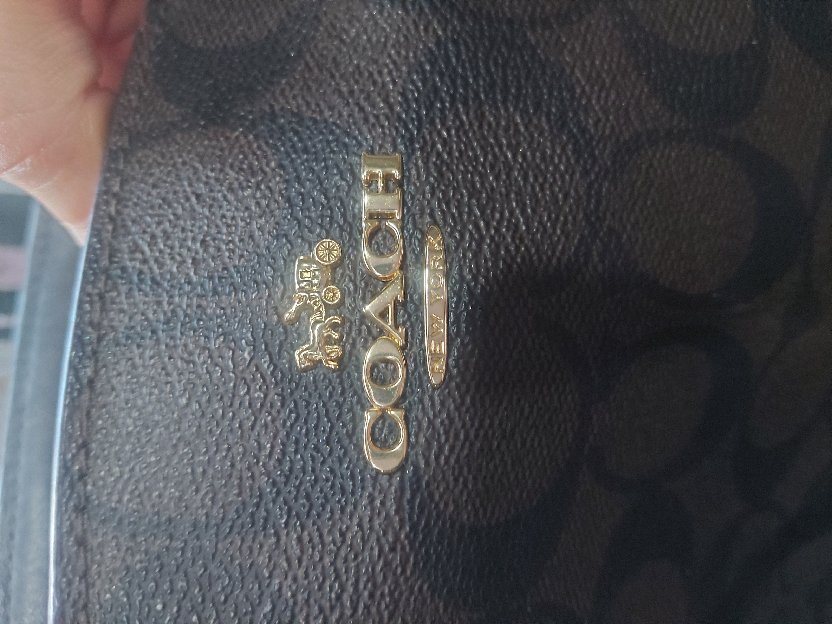 tas coach ori