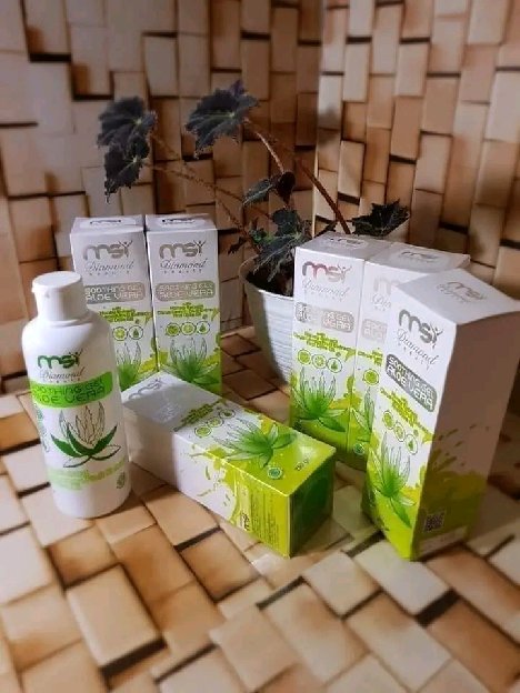 Aloe Vera Msi