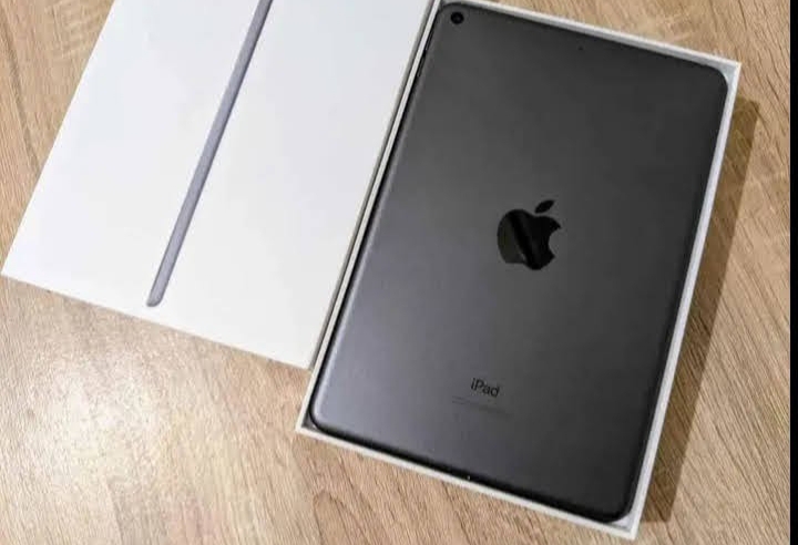 Ipad Mini Wi-Fi 1
