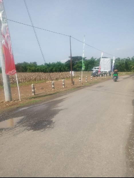 TANAH SAWAH MURAH LOKASI STRATEGIS