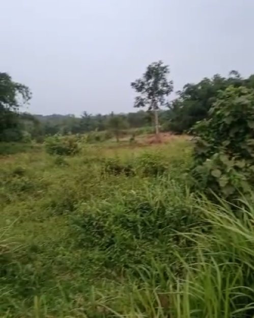 Jual Tanah Kapling Komplek Sawah 