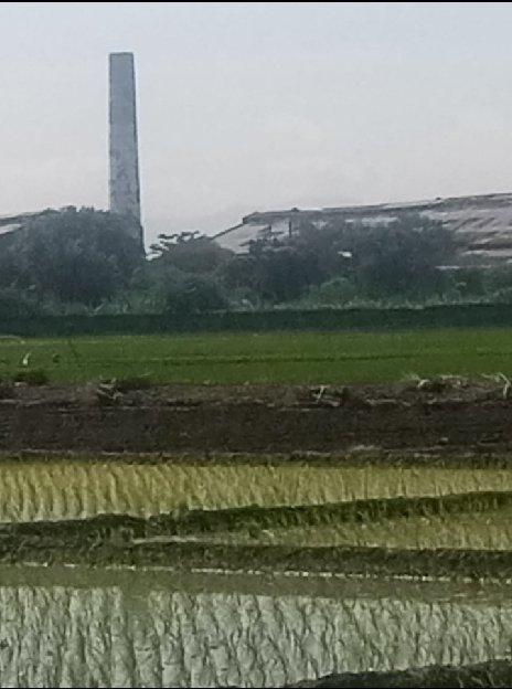 TANAH SAWAH MURAH LOKASI STRATEGIS