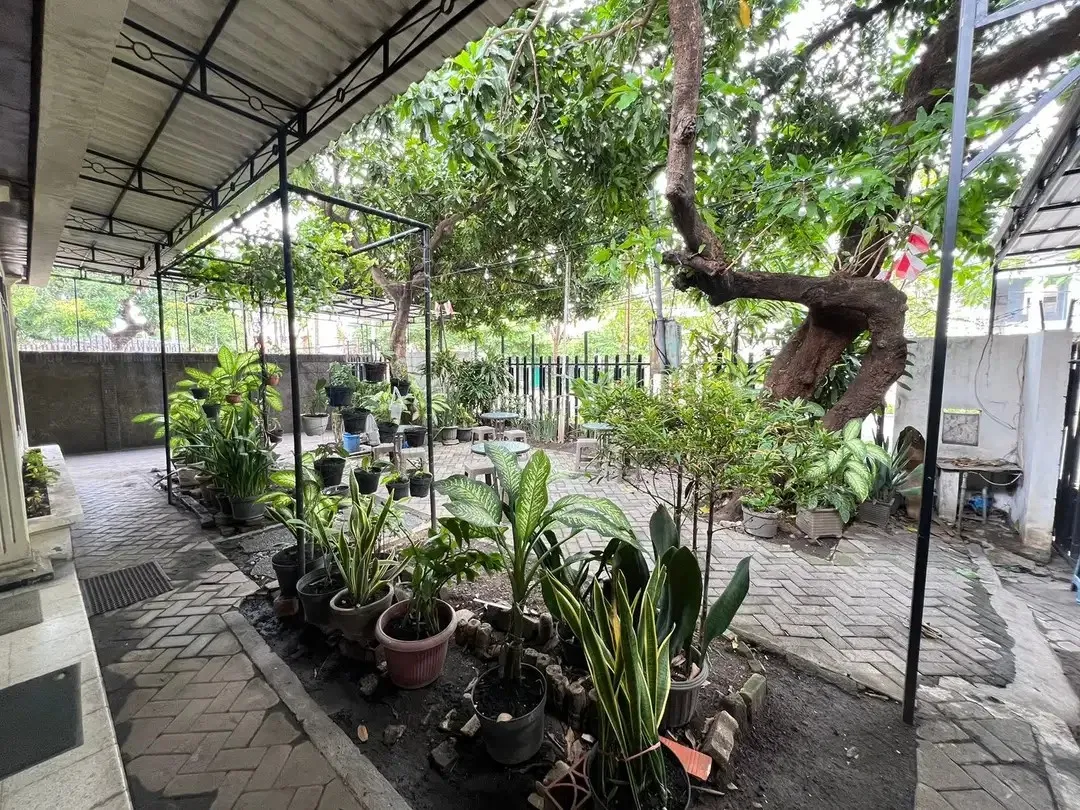 Rumah Cocok Untuk Tempat Usahai di Jalan RA Kartini Surabaya