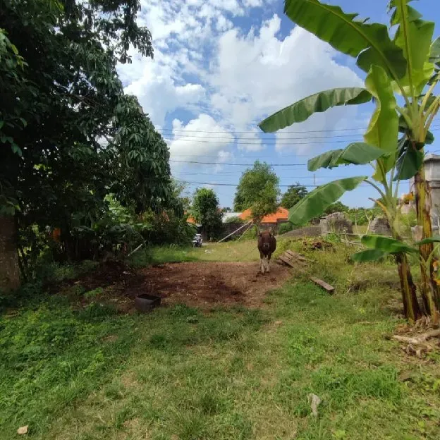 Dijual 3 are, Jl. Mundeh Gubug Sari Barat SMPN 5 Kutuh Kuta Selatan