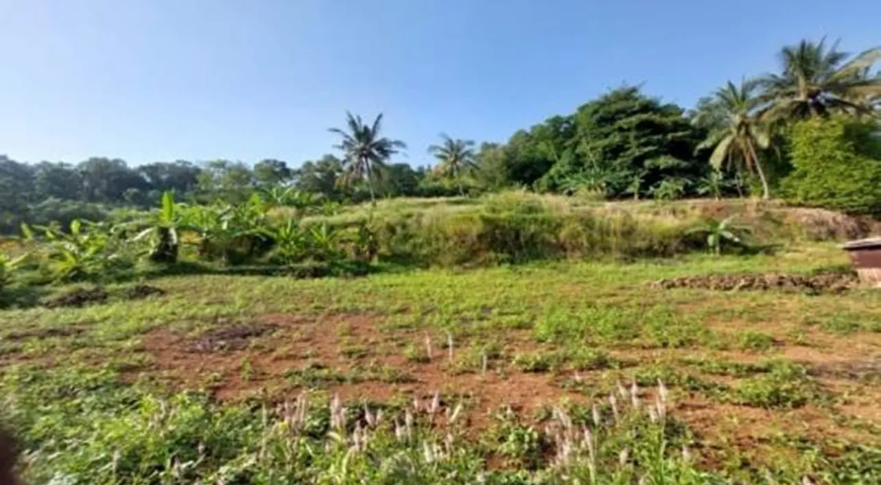 Jual Gudang dan Tanah Kosong di Kawasan Lebak Gede Kota Cilegon