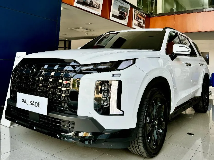 Palisade Signature XRT 2024