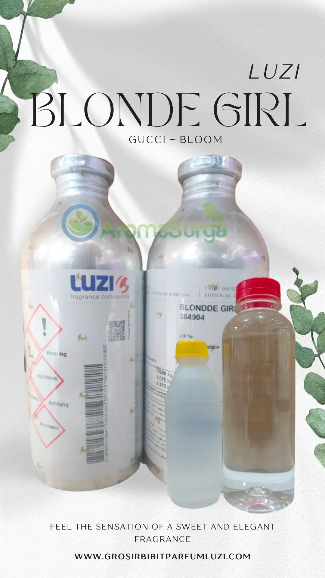 AGEN BIBIT PARFUM LUZI ACEH TIMUR