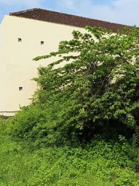 Dijual 6 are, Jl. Tukad Badung XXIX Renon Sidakarya Denpasar