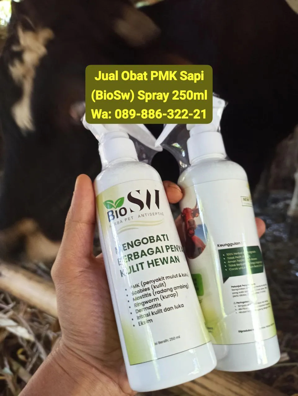Jual Obat PMK Sapi Cilacap BioSW