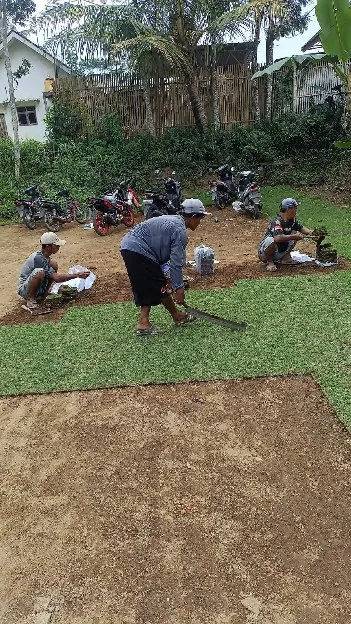 Harga rumput lapangan sepak bola cirebon permeter murah
