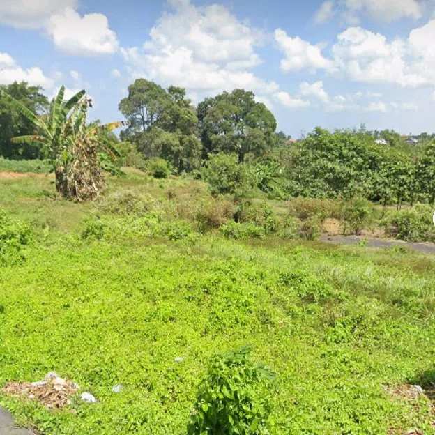 Dijual 1,7 are, Jl. Sekargadung Cekomaria Utara Sibang Gede Abiansemal Badung