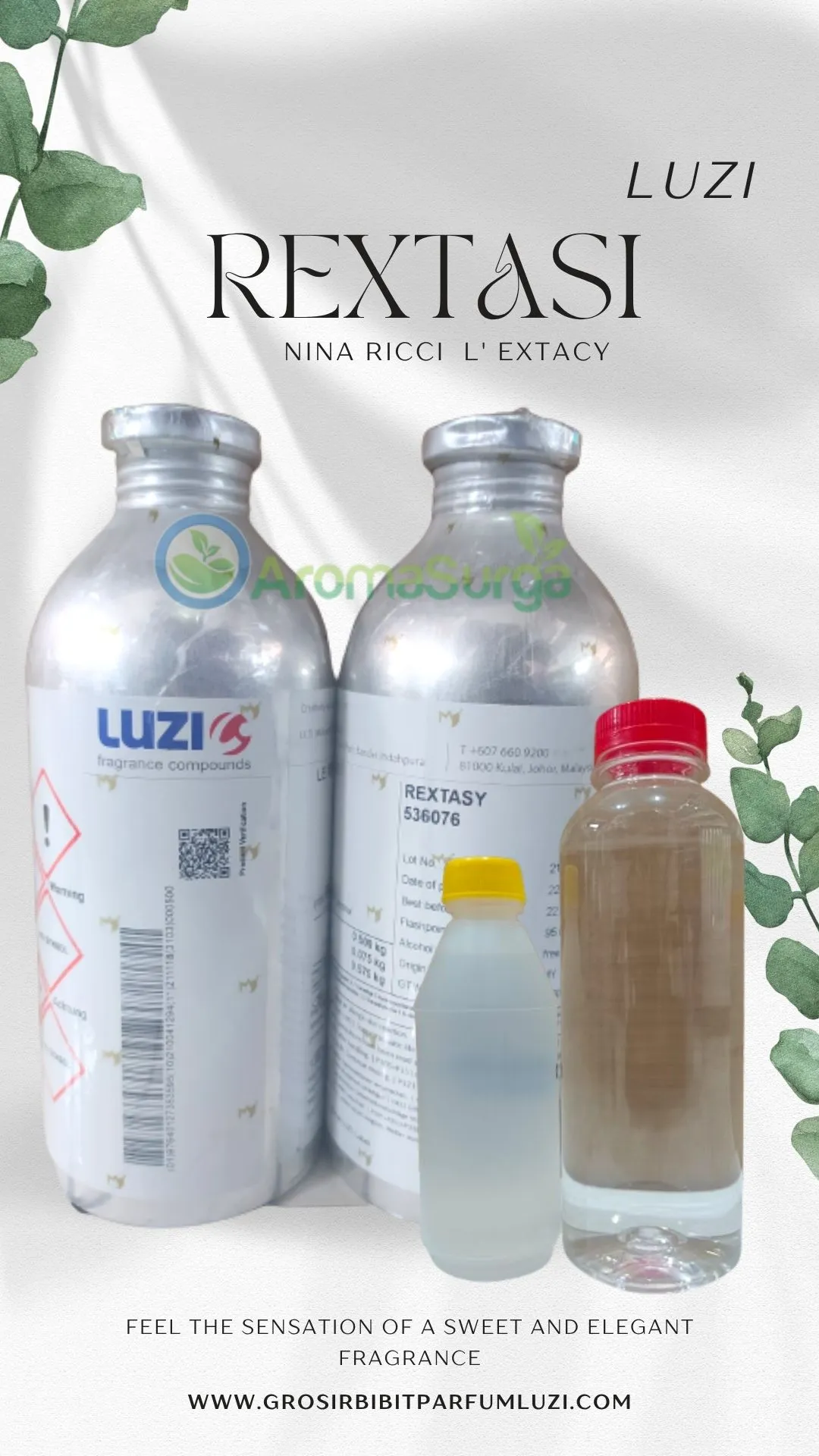 AGEN BIBIT PARFUM LUZI ACEH TIMUR