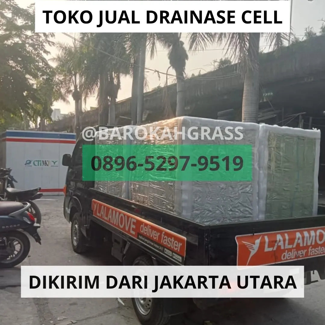 STOK BANYAK Tempat Beli Drainase Rumput Sintetis Cirebon Gegesik - Barokah Grass