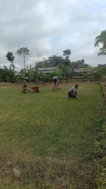 Harga rumput lapangan sepak bola cianjur terbaik