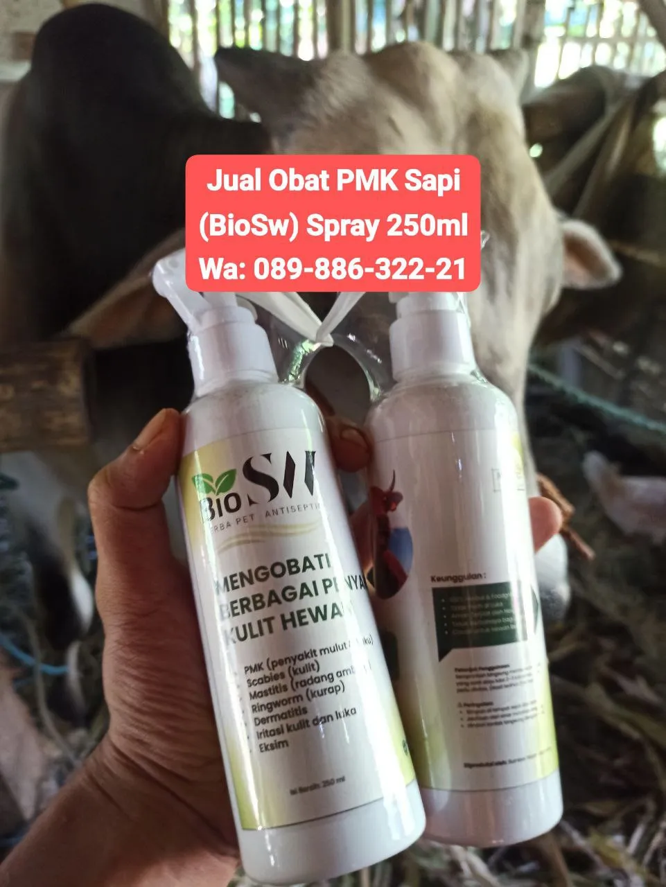 Jual Obat PMK Sapi Brebes BioSW