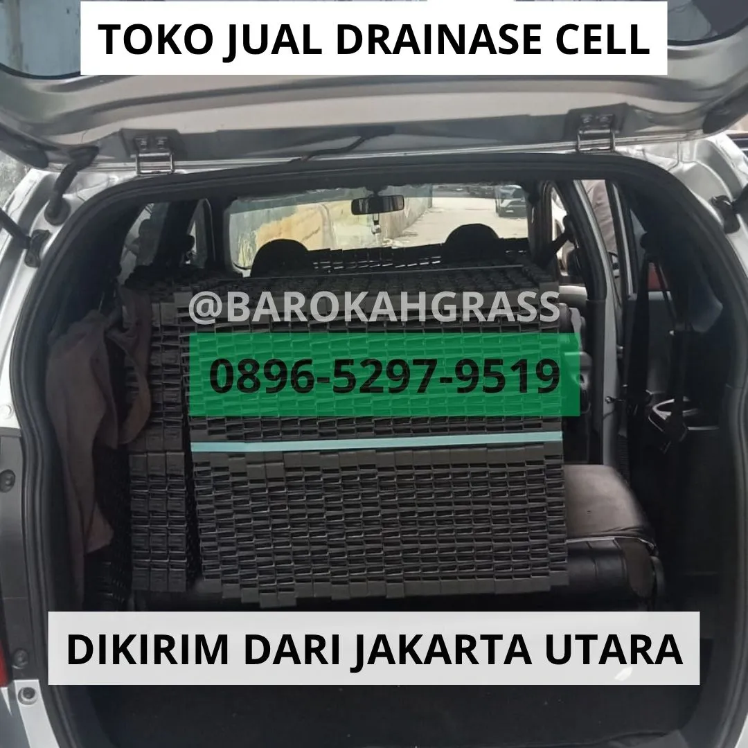 STOK BANYAK Gudang Alas Rumput Sintetis Cirebon Ciwaringin - Barokah Grass
