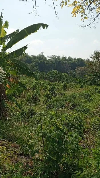Di Jual Tanah Bangkingan Lakarsantri Surabaya Siap Bangun Jual Murah