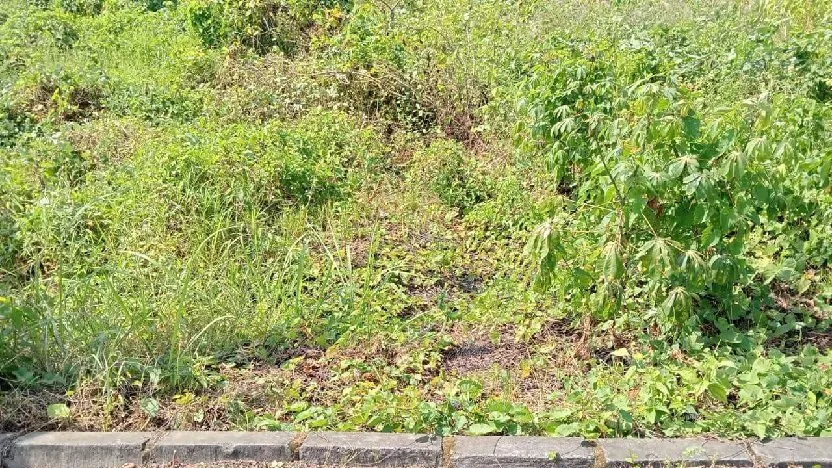 Di Jual Tanah Bangkingan Lakarsantri Surabaya Siap Bangun Jual Murah