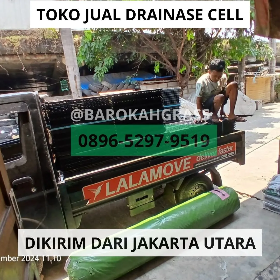 TERPERCAYA Harga Tatakan Rumput Sintetis Cirebon Depok - Barokah Grass