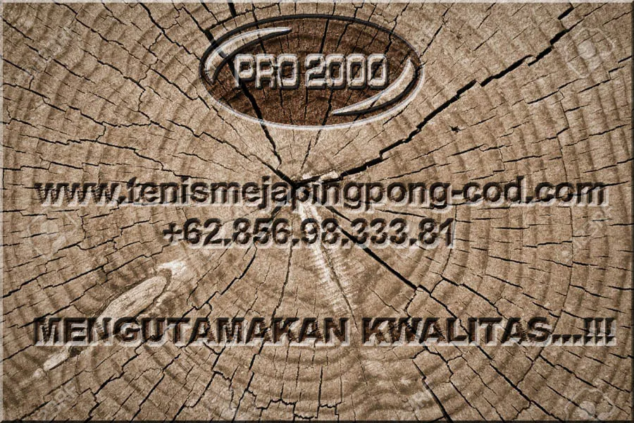 tenis meja pingpong merk SPECTRUM 3.0
