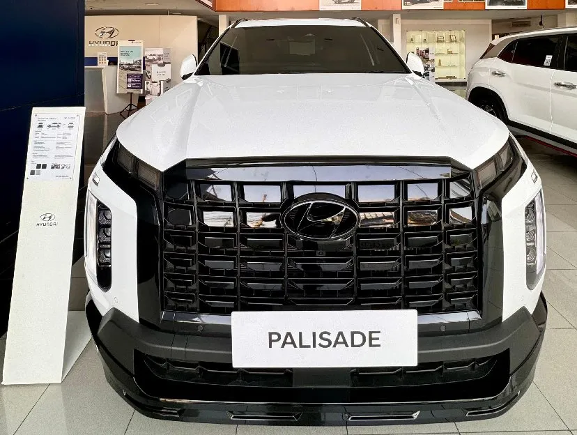 Palisade Signature XRT 2024