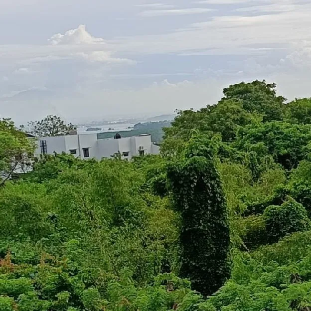 Dijual 4,9 are, Jl. Kurusetra Samping Puja Mandala Benoa Kuta Selatan