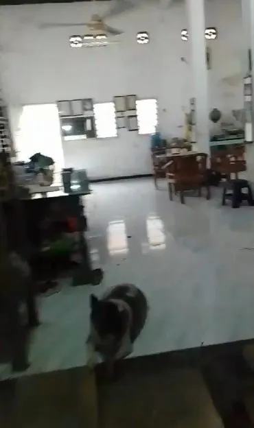 Jual Murah Rumah Hitung Tanah Simo Pomahan Surabaya Sangat Cocok Di Bangun Kost Kostan