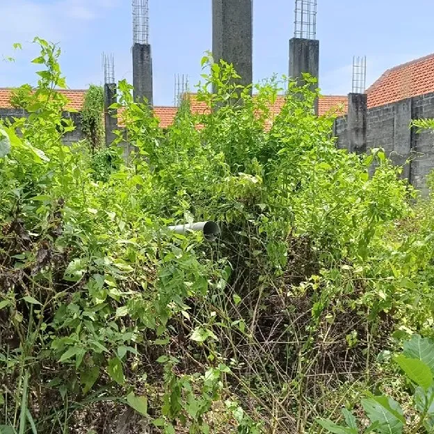 Dijual 2 are, Jl. Gitasura Dam Peraupan II Belakang PDAM Antasura Denpasar