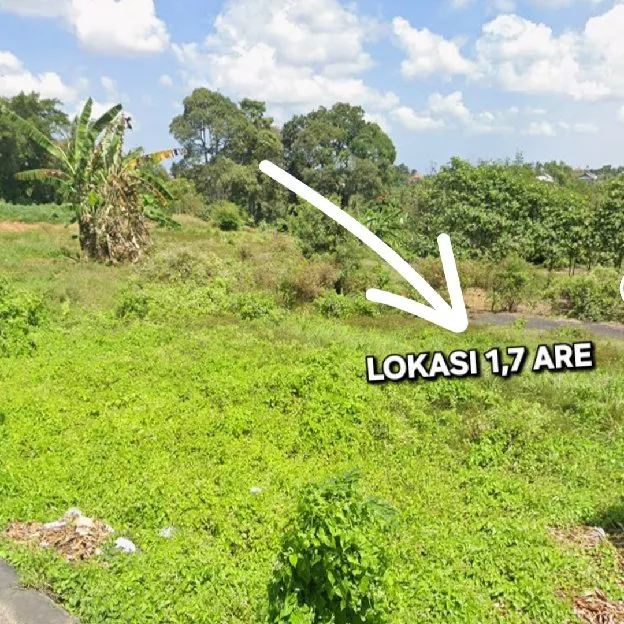 Dijual 1,7 are, Jl. Sekargadung Cekomaria Utara Sibang Gede Abiansemal Badung
