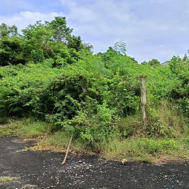 Dijual 4,9 are, Jl. Kurusetra Samping Puja Mandala Benoa Kuta Selatan