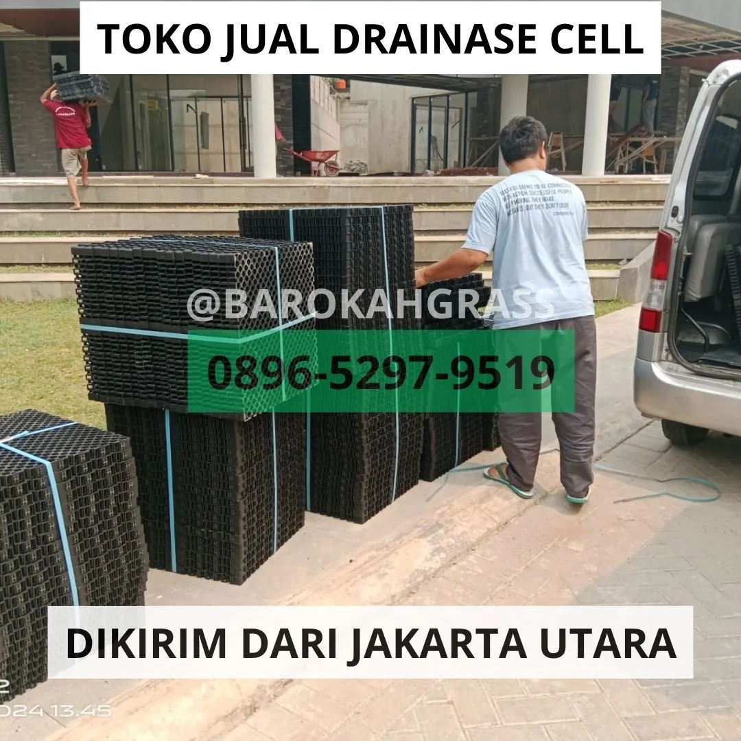 TERPERCAYA Tempat Jual Alas Rumput Sintetis Cirebon Gempol - Barokah Grass