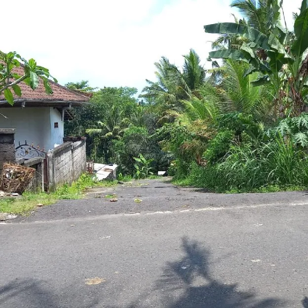 Dijual 22,8 are, Jl. Kamboja Raya Denpasar Singaraja Werdibhuwana Mengwi Badung