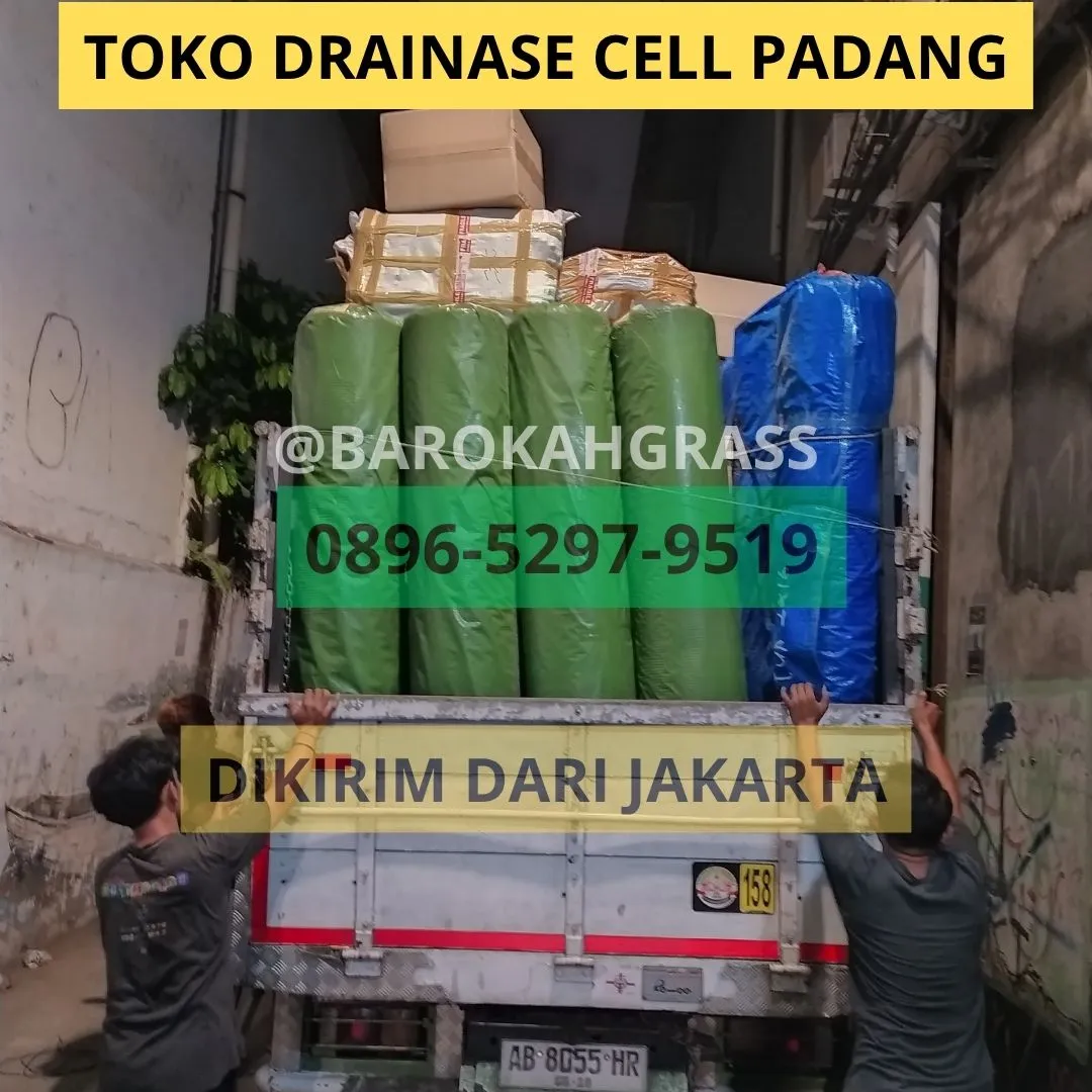 Penjual Tatakan Rumput Sintetis Padang Sangir Jujuan BISA KIRIM