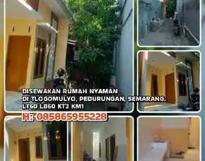 Rumah Kontrakan, Rumah Kost, Rumah Disewakan, Disewakan Rumah Di Tlogomulyo, Pedurungan, Semarang