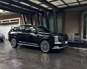 Hyundai Palisade Hybrid Callygraphy Promo