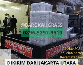 Amanah Jual Drainase Cell Cirebon Dukupuntang - Barokah Grass
