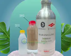 Agen Bibit Parfum Sfa Neroli Gunung Mas