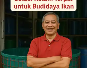 Terbaru Info Harga Set Terpal Kolam Lele Terdekat Rembang Dan Sekitarnya