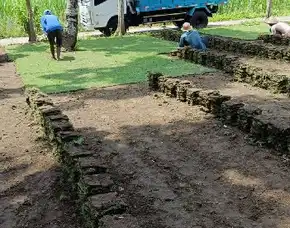 Harga Rumput Jepang Banjarnegara Permeter