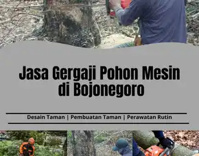 Jasa Gergaji Pohon Mesin Di Bojonegoro