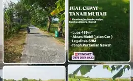 Dijual Cepat Tanah Sawah Murah Strategis Di Bambanglipura, Bantul, Diy. Lt489 Shm