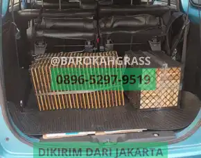 Bisa Kirim Toko Drainase Cell Palu Balantak Utara - Barokah Grass