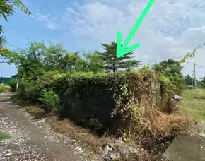 Dijual 7,58 Are, Jl. Krisna Tibubeneng Perum Canggu Permai Kuta Utara